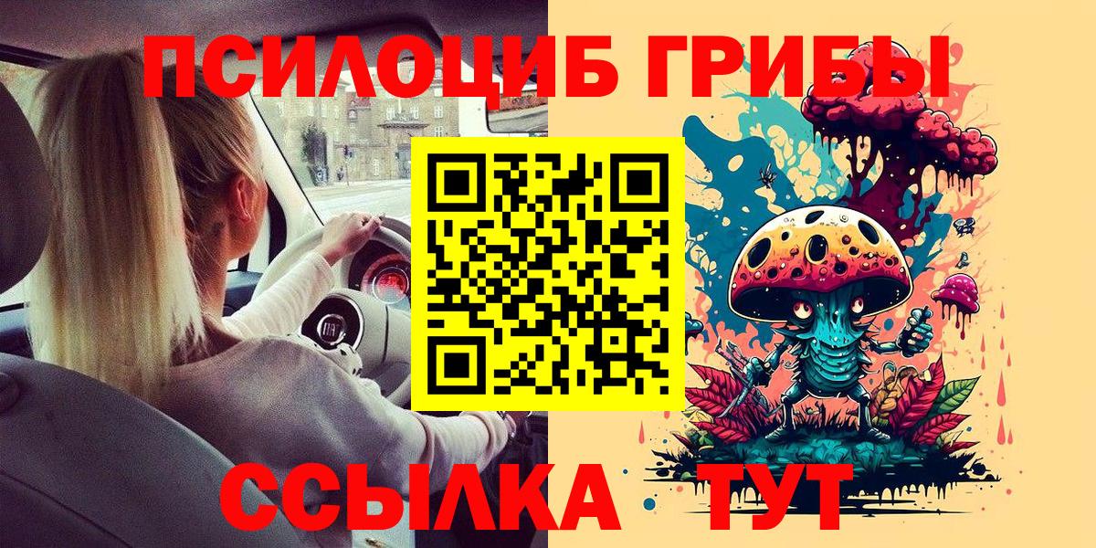 Галлюциногенные грибы GOLDEN TEACHER  Псилоцибиновые грибы Psilocybe  Вход с VPN  Петропавловск-Камчатский 